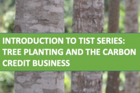 Cluster Servant Series: Tree Planting and Carbon Credits