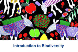 Introduction to Biodiversity